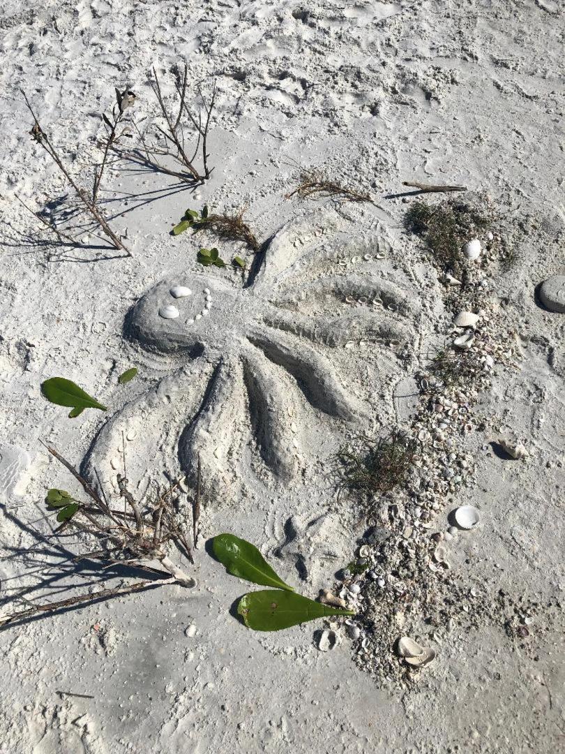 Welcome To The Paradise Fort Myers Beach Exteriér fotografie